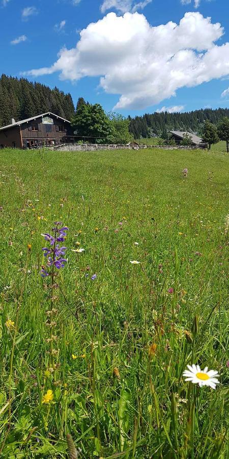 Gite Les LanfiannesThorens-Glières エクステリア 写真