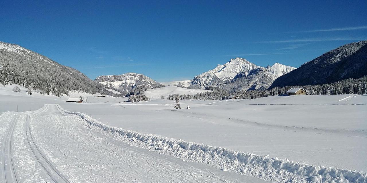 Gite Les LanfiannesThorens-Glières エクステリア 写真