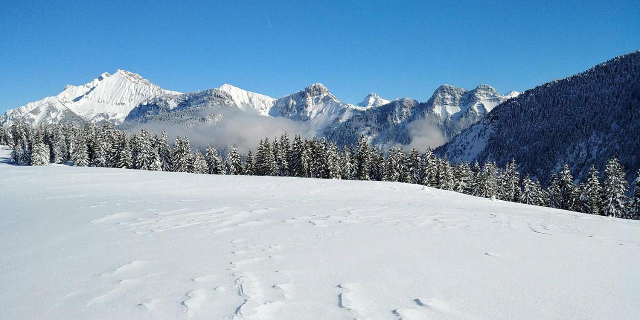 Gite Les LanfiannesThorens-Glières エクステリア 写真