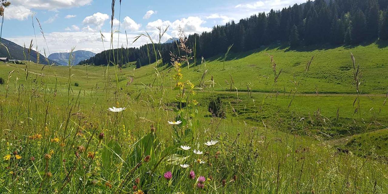 Gite Les LanfiannesThorens-Glières エクステリア 写真