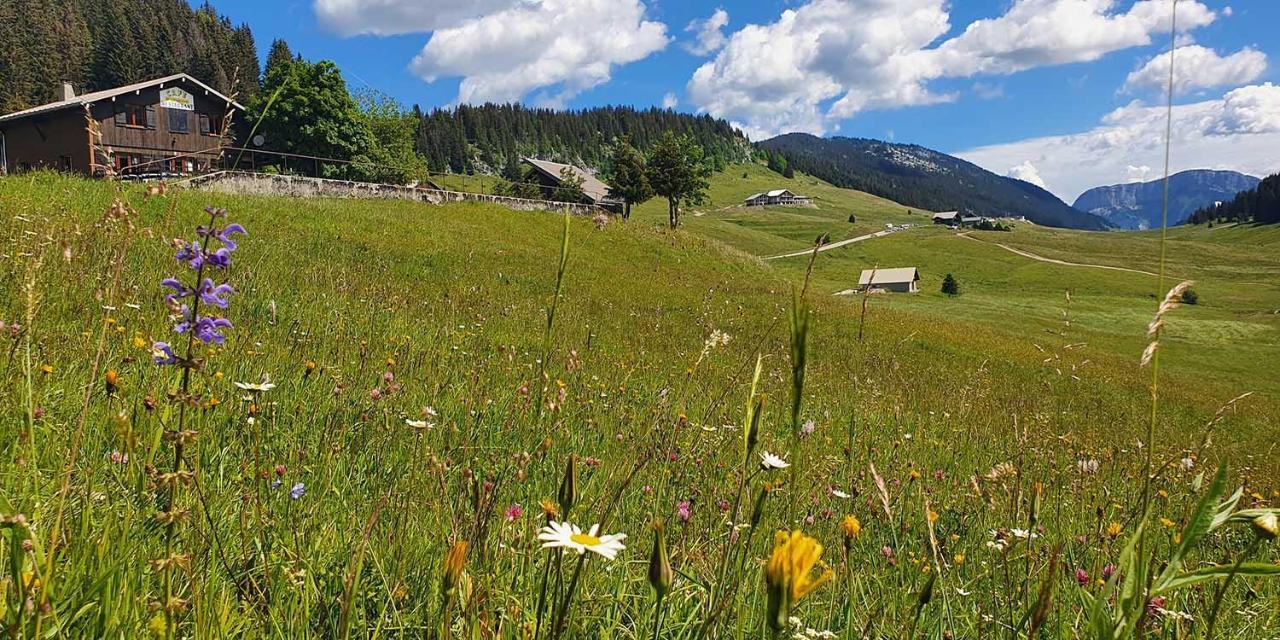 Gite Les LanfiannesThorens-Glières エクステリア 写真