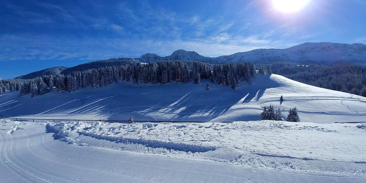 Gite Les LanfiannesThorens-Glières エクステリア 写真