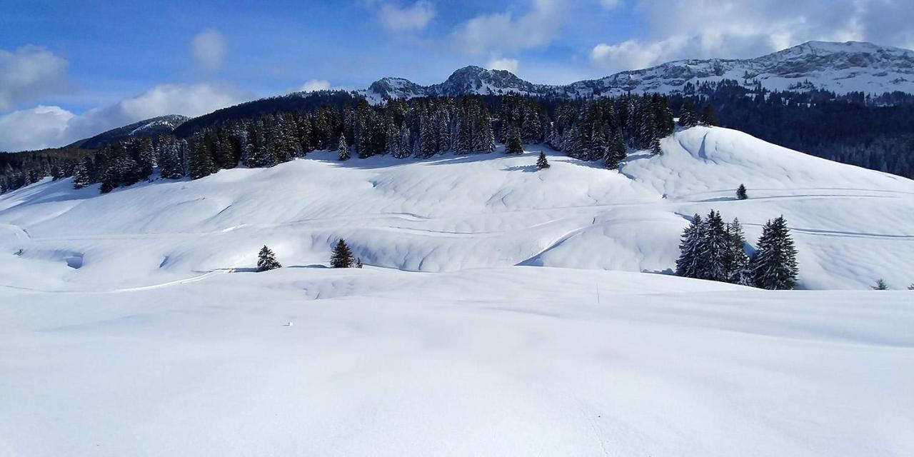 Gite Les LanfiannesThorens-Glières エクステリア 写真