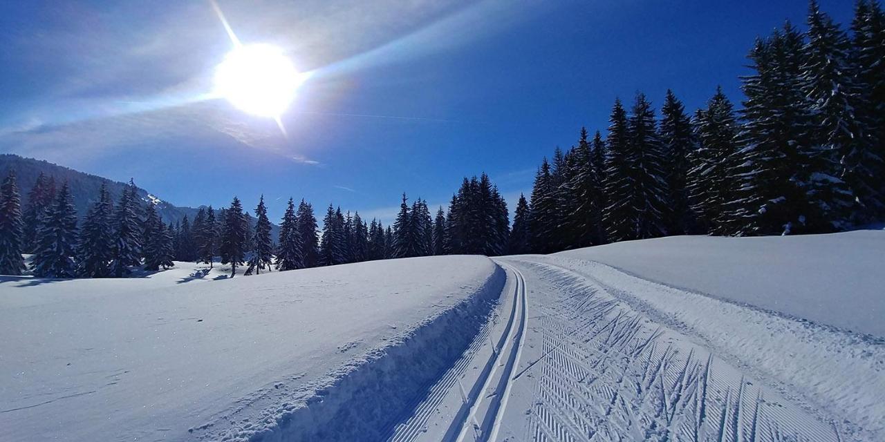 Gite Les LanfiannesThorens-Glières エクステリア 写真