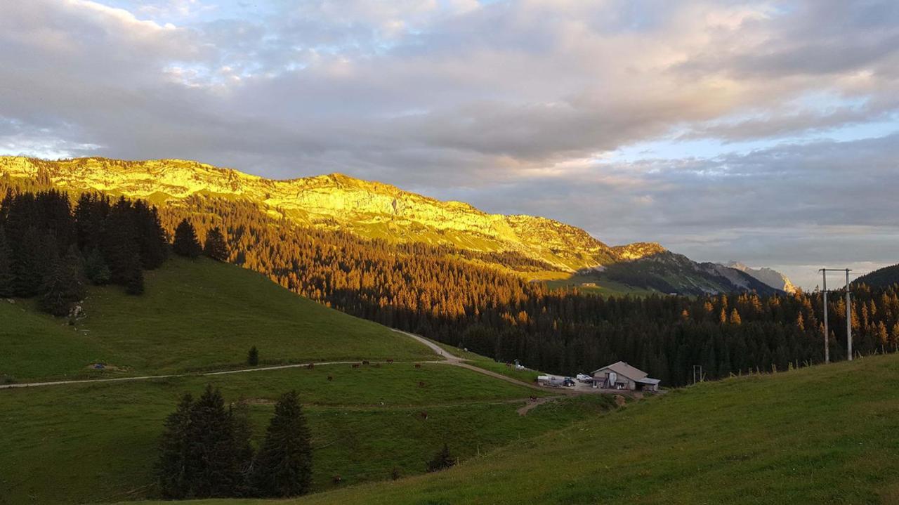 Gite Les LanfiannesThorens-Glières エクステリア 写真
