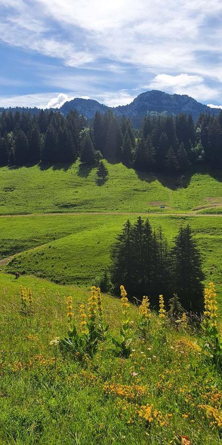 Gite Les LanfiannesThorens-Glières エクステリア 写真